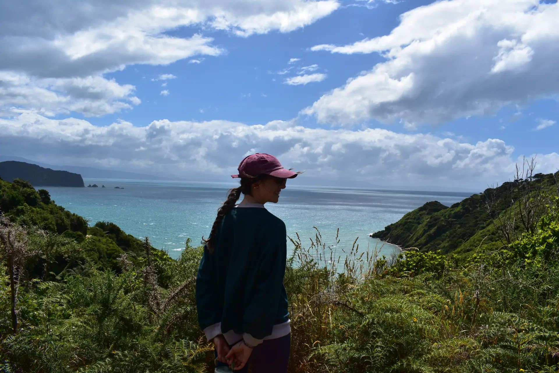 Panoramic view of coastal clouds and ocean along Abel Tasman National Park trail