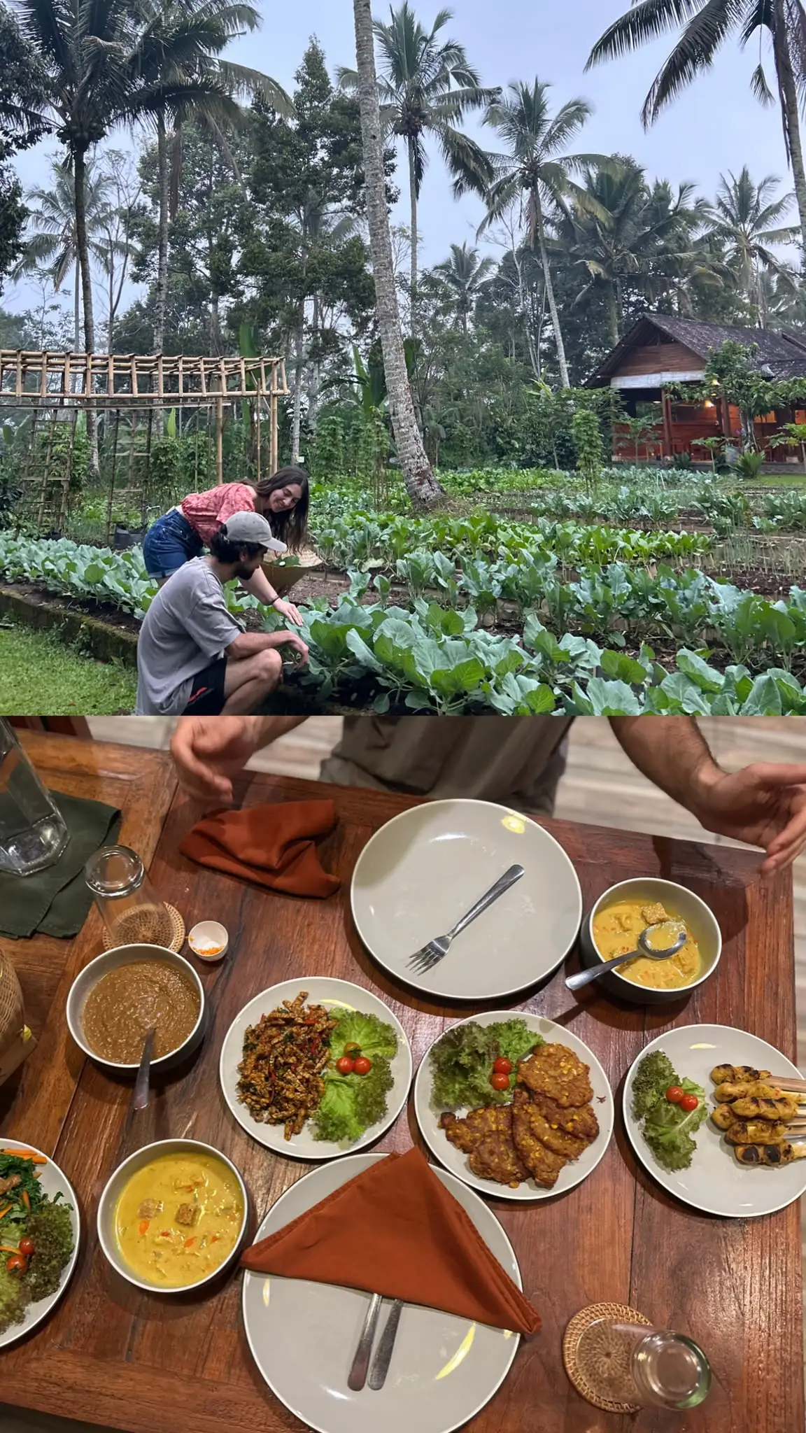 Taller-de-cocina-granja-ecológica