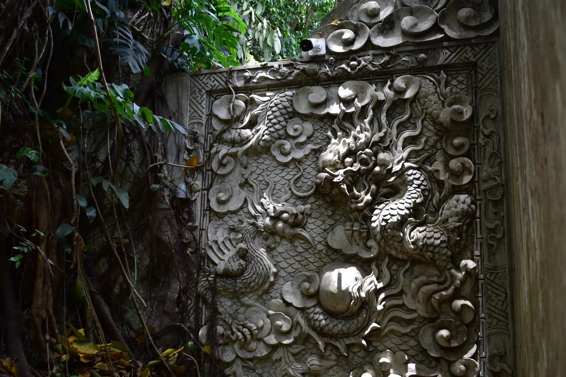 Imagen de bitácora